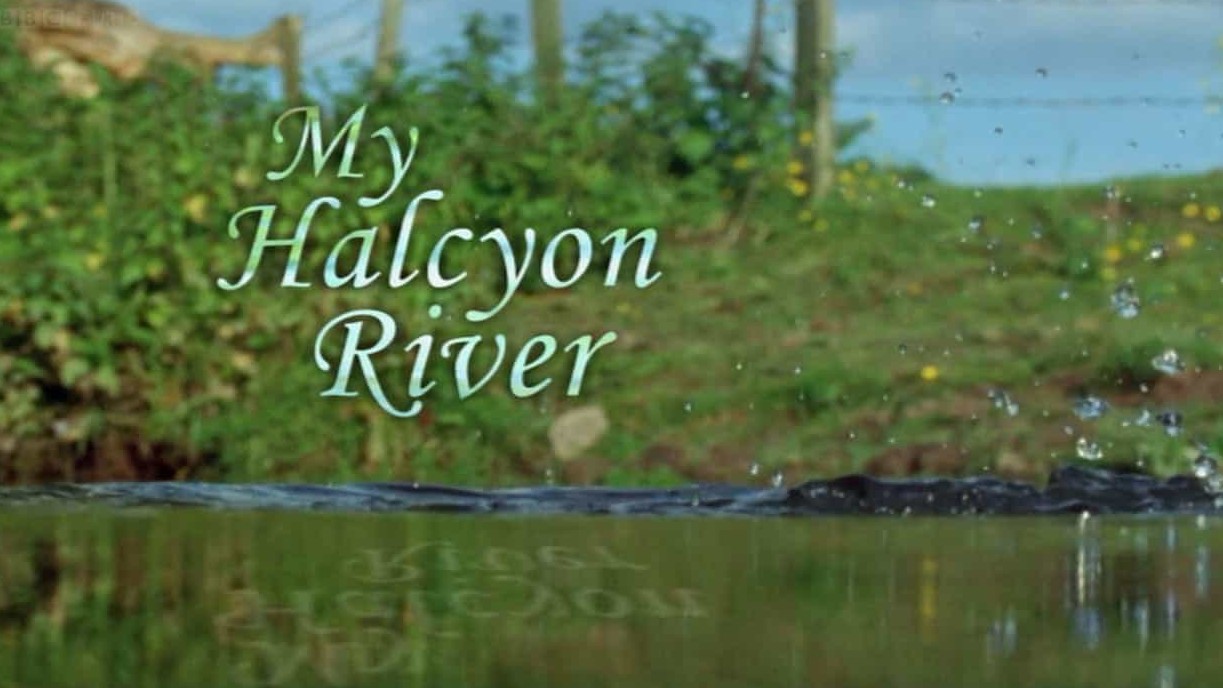 BBC纪录片《 自然世界：翠鸟河 BBC The Natural World-My Halcyon River》全1集 英语中字 720P高清网盘下载 