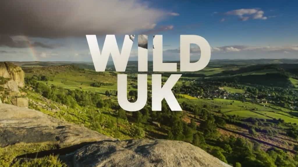 BBC纪录片《狂野英国 Wild UK 2017》全5集 英语英字 720P高清网盘下载