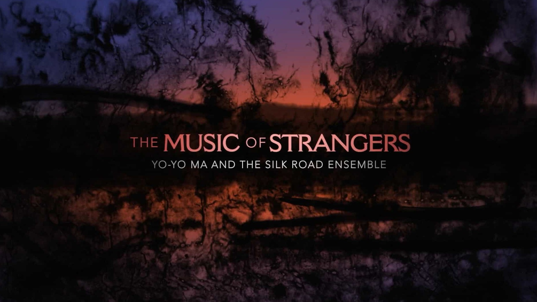  美国纪录片《陌生人的音乐/丝路合奏团 The Music of Strangers 2015》全1集 英语英字 1080P高清网盘下载