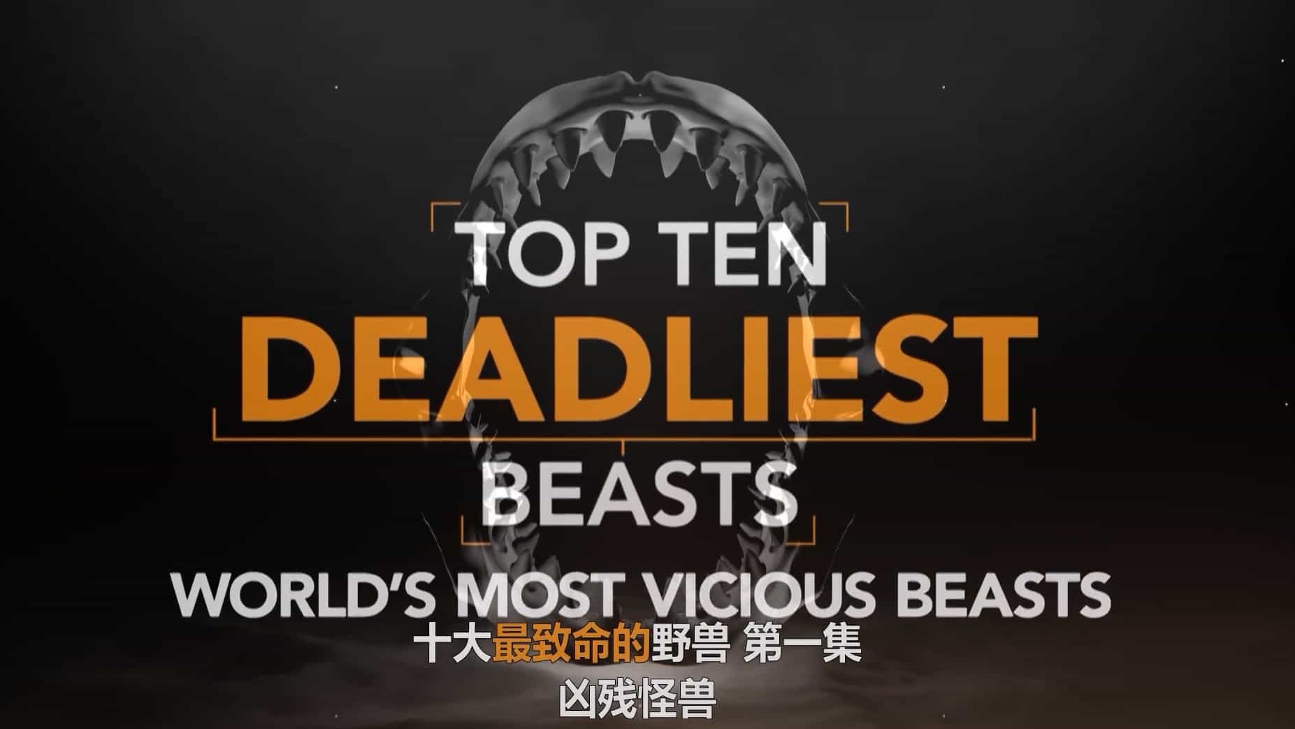 BBC纪录片《十大最致命的野兽 Top Ten Deadliest Beasts 2019》全2集 英语中字 1080高清网盘下载