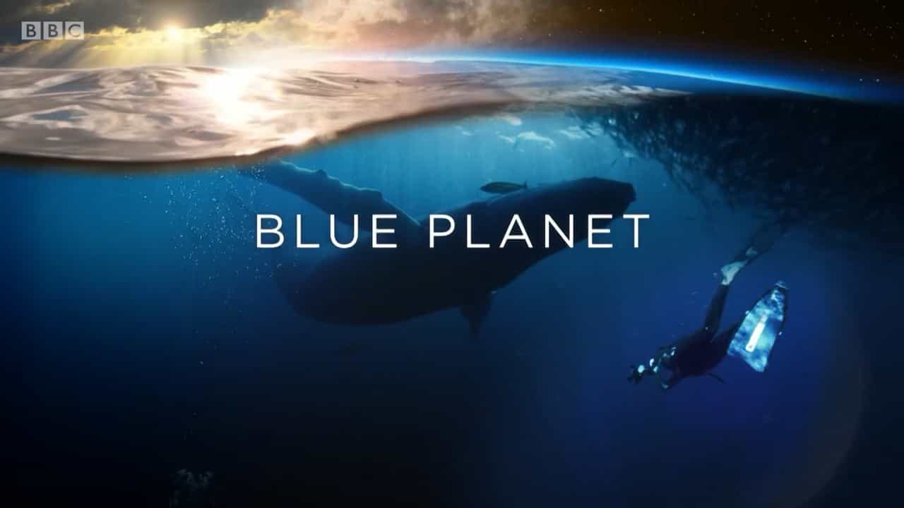 BBC纪录片《蓝色星球UK Blue Planet UK 2019》第1季 全5集 英语 720P高清网盘下载