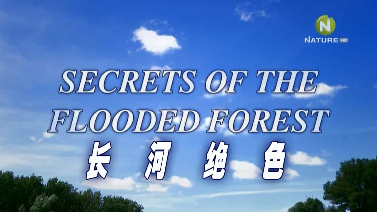 BBC纪录片《泛滥森林的秘密/长河绝色 Secrets of the Flooded Forest 2015》全1集 粤语中字 720P高清网盘下载