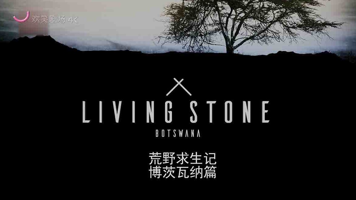 Insight TV纪录片《荒野求生记：博茨瓦纳篇 Living Stone：Botswana》全10集 英语中字 4K超清网盘下载