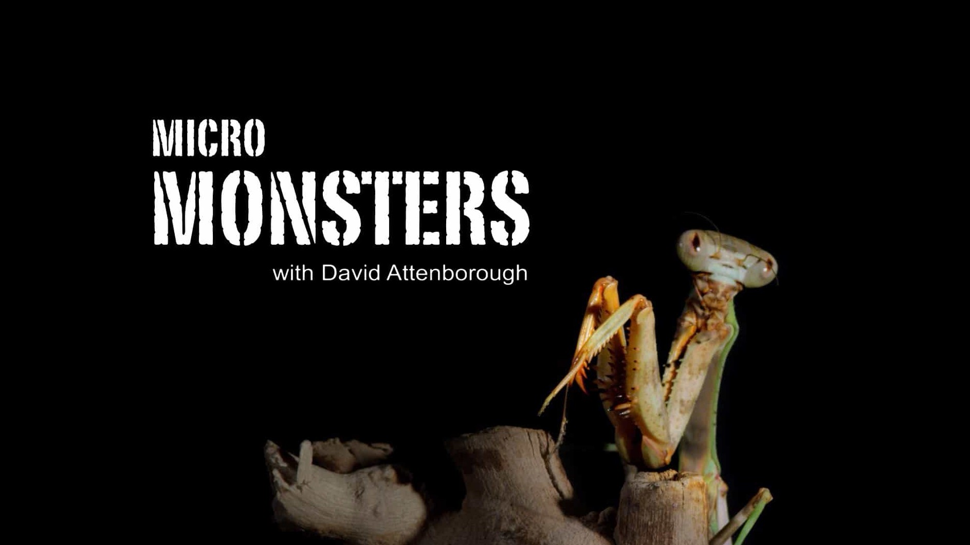 BBC纪录片《大卫·艾登堡的微型猛兽世界之旅 Micro Monsters》全6集 加花絮 英语双字 1080P高清 