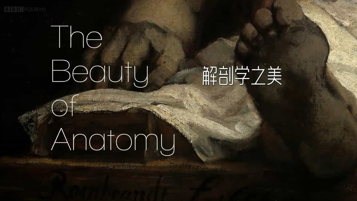 BBC纪录片《解剖学之美 The Beauty of Anatomy 》全5集 英语中字 标清网盘下载 