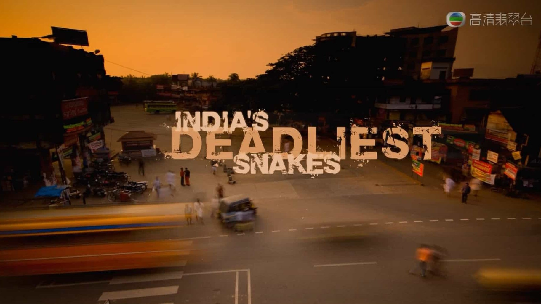 BBC纪录片《印度毒蛇之最 Indias Deadliest Snakes 2009》全1集 粤英双语中字 1080P高清网盘下载