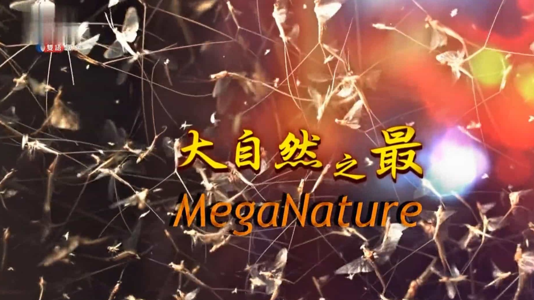 BBC纪录片《大自然之最 Mega Nature》全1集 英语中字 720p高清网盘下载