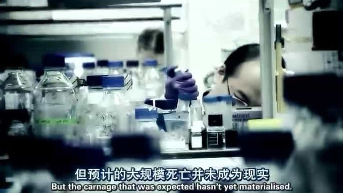 BBC纪录片《病毒为何致命 Why Do Viruses Kill 2010》全1集 英语中字 标清网盘下载