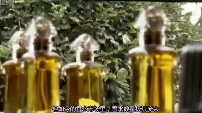 BBC纪录片《香水 Perfume》全3集 英语中英双字 标清网盘下载