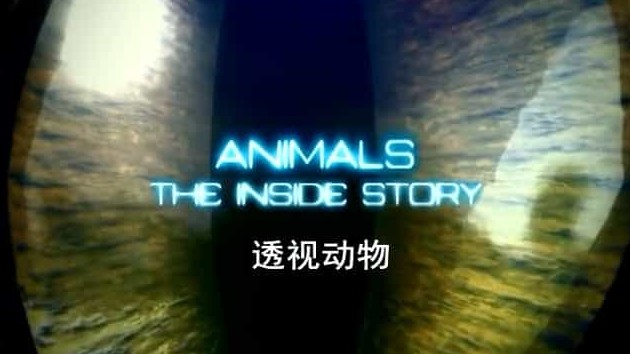 BBC纪录片《透视动物 Animal The Inside Story》全3集 英语中字 标清网盘下载