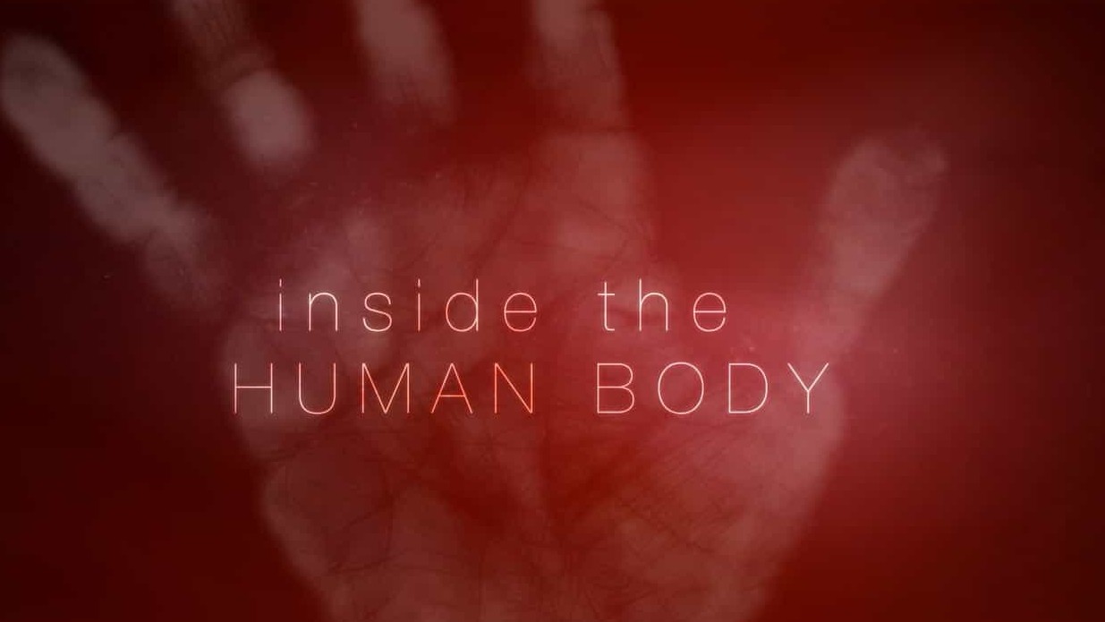 BBC纪录片《人体奥秘 Inside the Human Body 2011》全4集 国粤英三语中英双字 1080P高清网盘下载