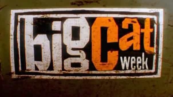 BBC纪录片《狮虎豹 Big Cat Week 2006》全1集 英语中字 标清网盘下载 