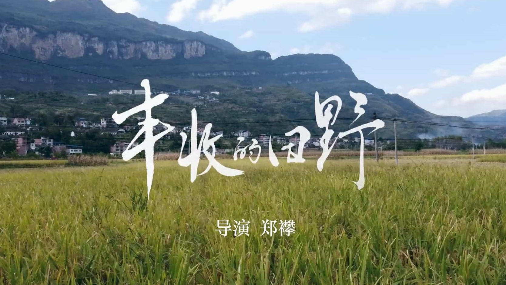 国产纪录片《丰收的田野 2022》全3集 国语中字 1080P高清网盘下载