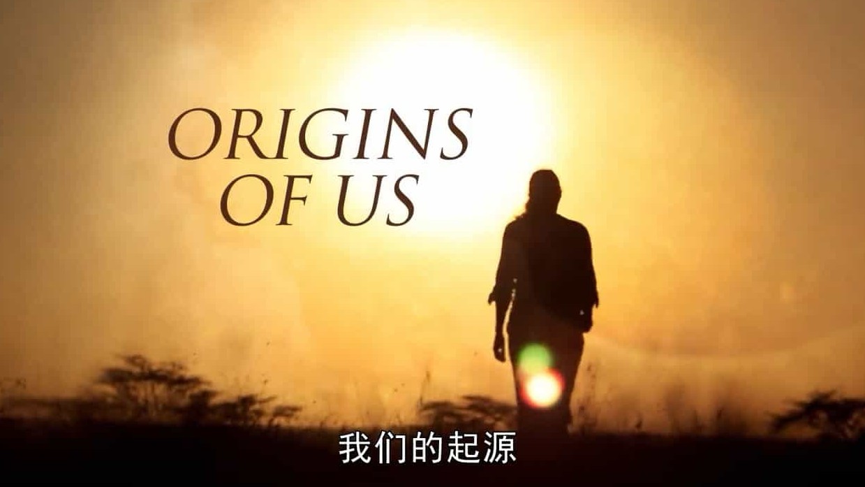 BBC纪录片《我们的起源/人类的起源/人体的进化旅程 Origins of Us 2011》全3集 英语中字 720P高清网盘下载