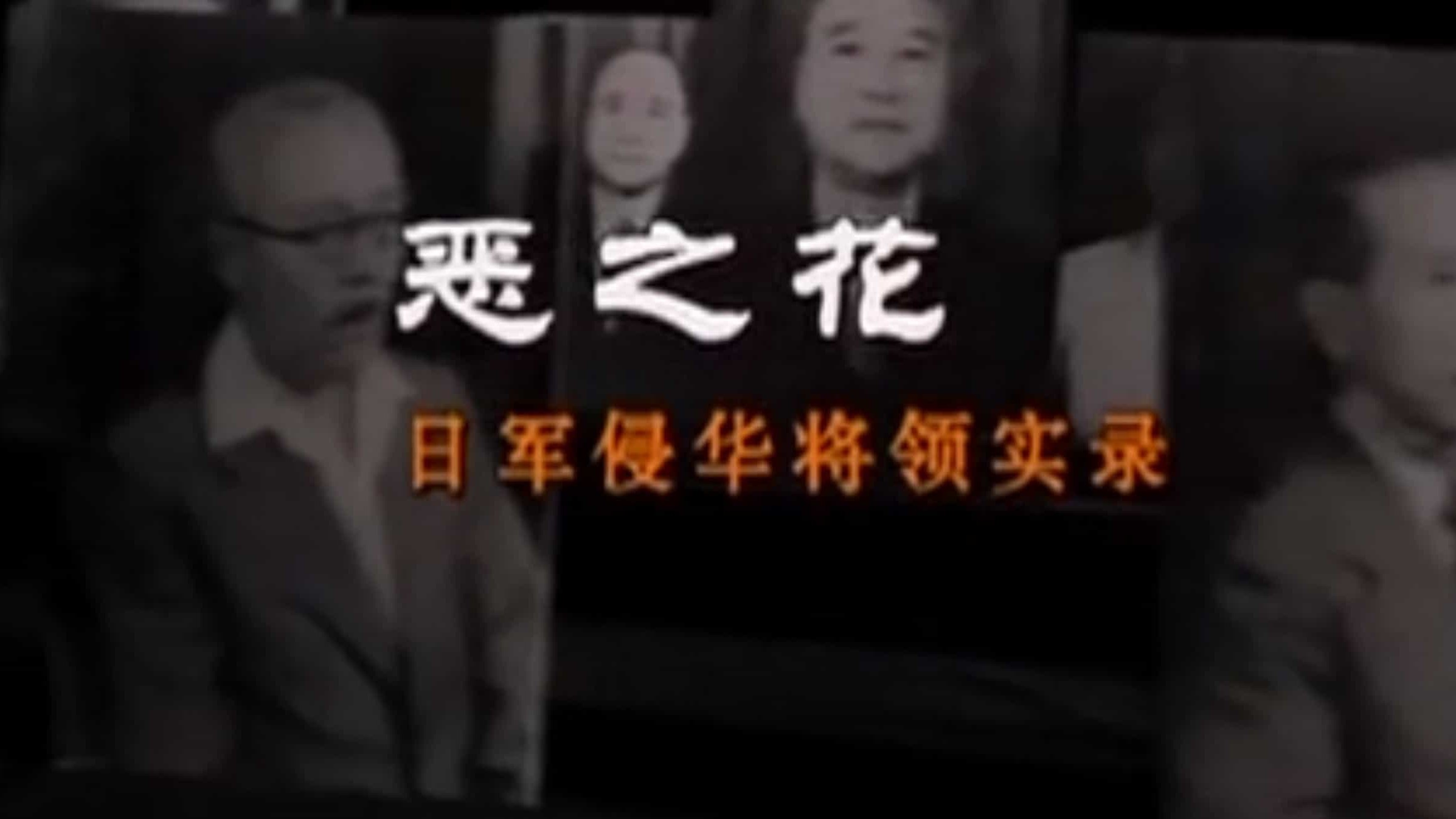 央视纪录片《恶之花 2011～2012》全1-2季 全9集 国语中字 标清网盘下载