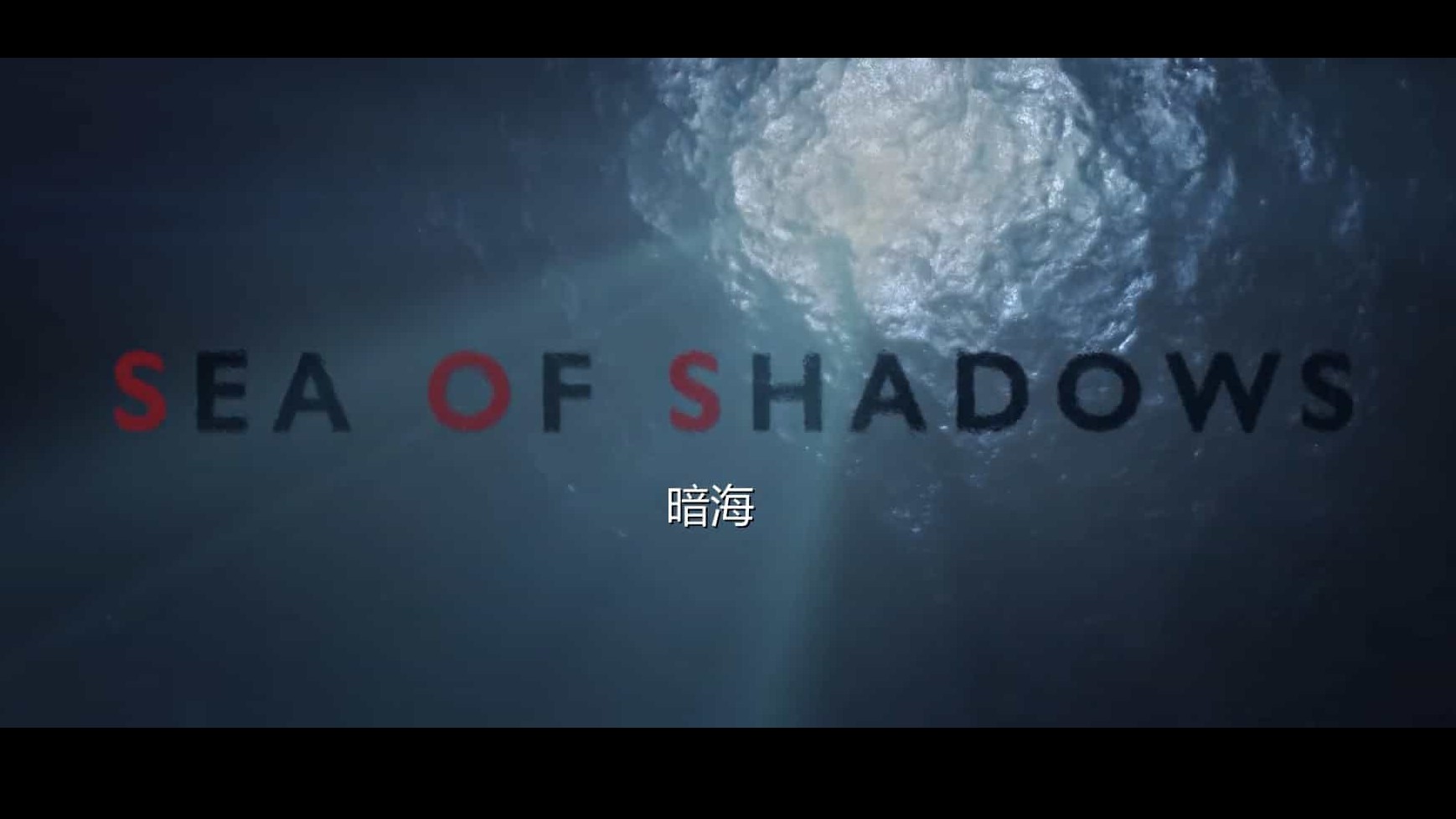 国家地理《暗海/海豚守护战 Sea of Shadows 2019》全1集 英语中字 1080P高清网盘下载