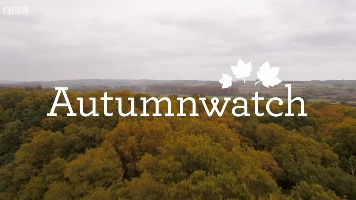 BBC纪录片《赏秋 Autumnwatch 2017》全4集 英语英字 720P高清网盘下载