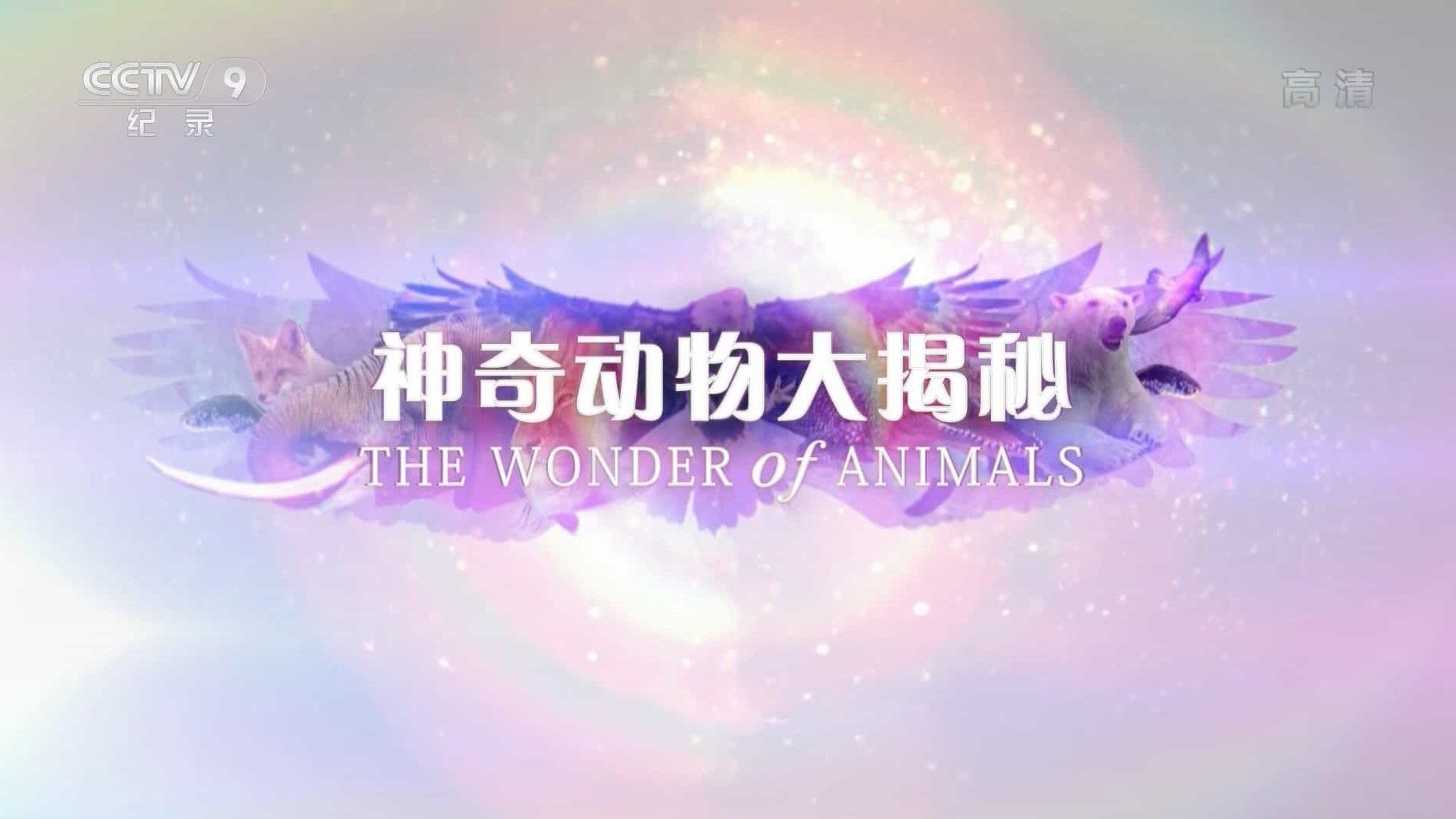 BBC纪录片《神奇动物大揭秘 The Wonder of Animals 2017》全5集 国语中字 1080P高清网盘下载