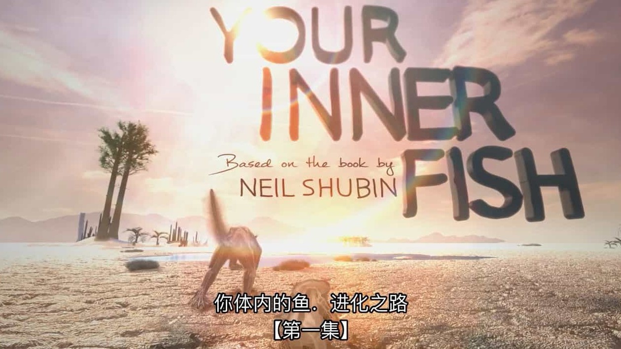 PBS纪录片《你体内的鱼/从鱼进化而来的你 Your Inner Fish》全3集 英语中英双字 720P高清网盘下载 