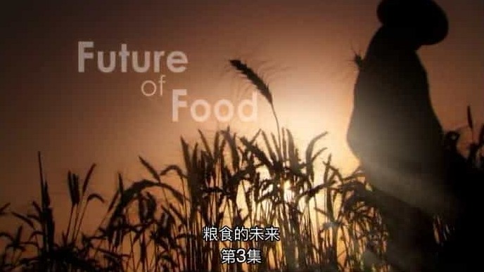 BBC纪录片《粮食的未来 Future of Food 2009》全3集 英语中字 720p高清网盘下载  