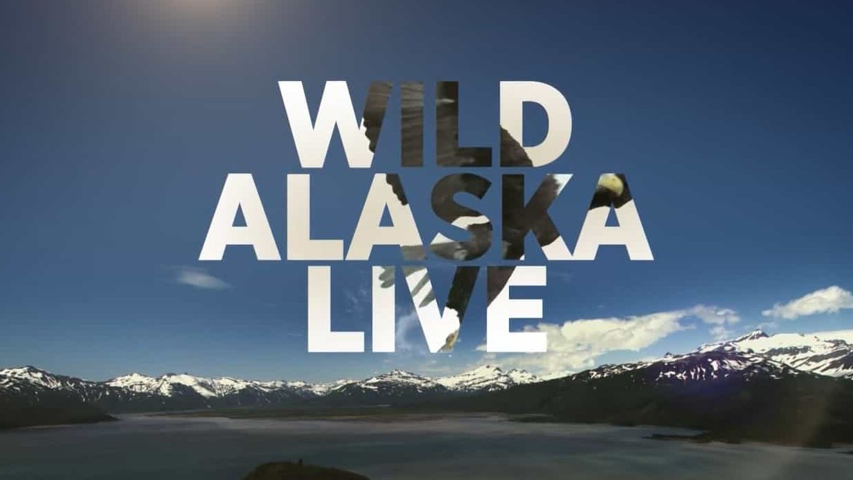 BBC纪录片《狂野阿拉斯加Live版 Wild Alaska Live 2017》全3集 英语英字 720P高清网盘下载