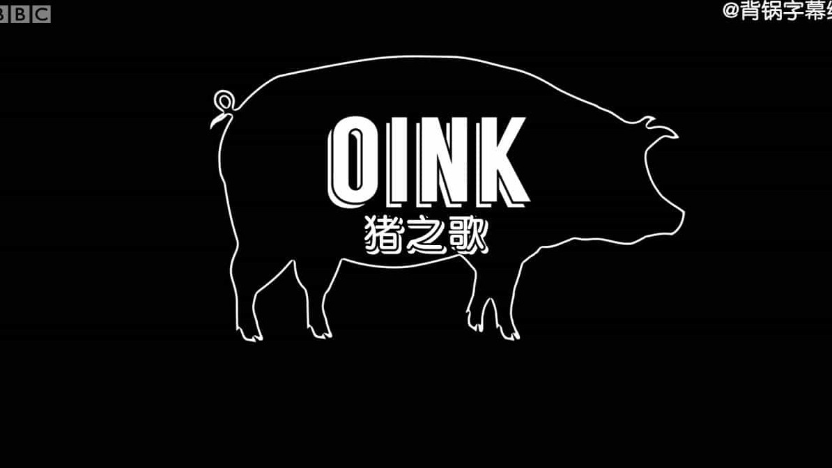 BBC纪录片《人和猪的故事 Storyville Oink Man Loves Pig 2017》全1集 英语中字 720P高清网盘下载