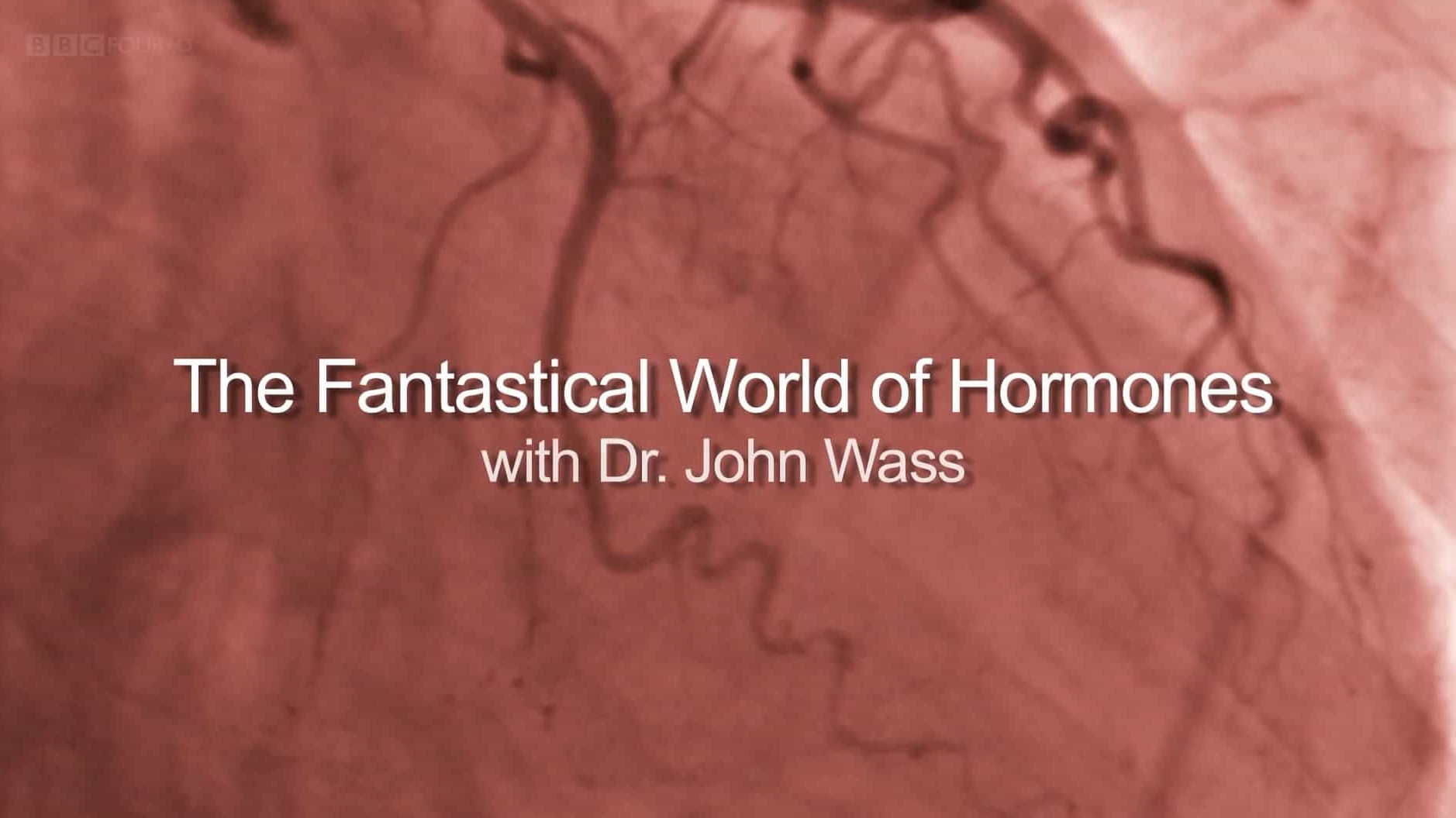 BBC纪录片《荷尔蒙的神奇世界 The Fantastical World of Hormones》全1集 英语中字 1080P高清网盘下载