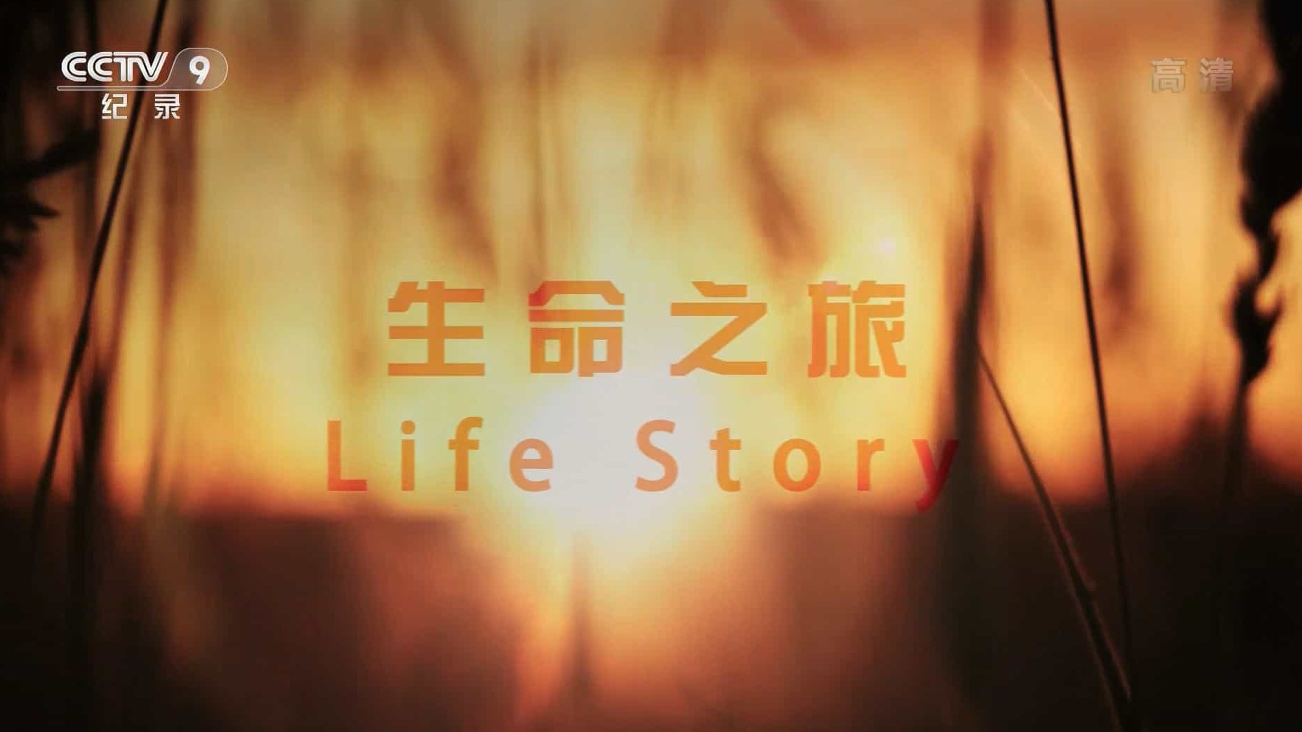 央视纪录片《生命之旅 Journey of Life 2017》全6集 国语中字 1080i高清网盘下载