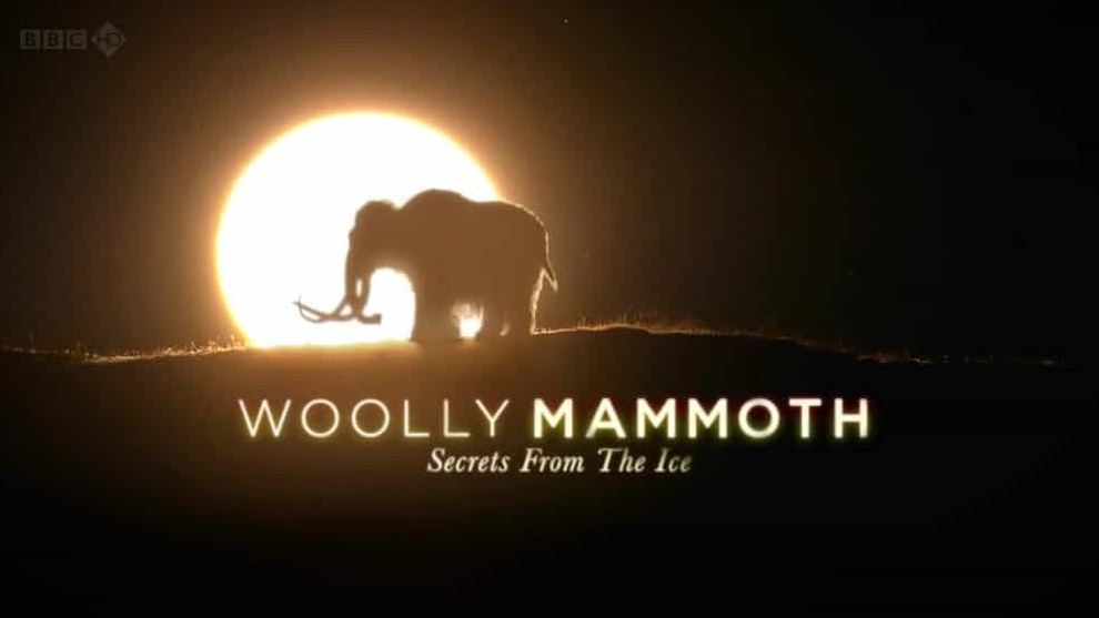 BBC纪录片《长毛猛犸象 冰封之迷 Woolly Mammoth Secrets from the Ice》全1集 英语中英双字 720p高清网盘下载