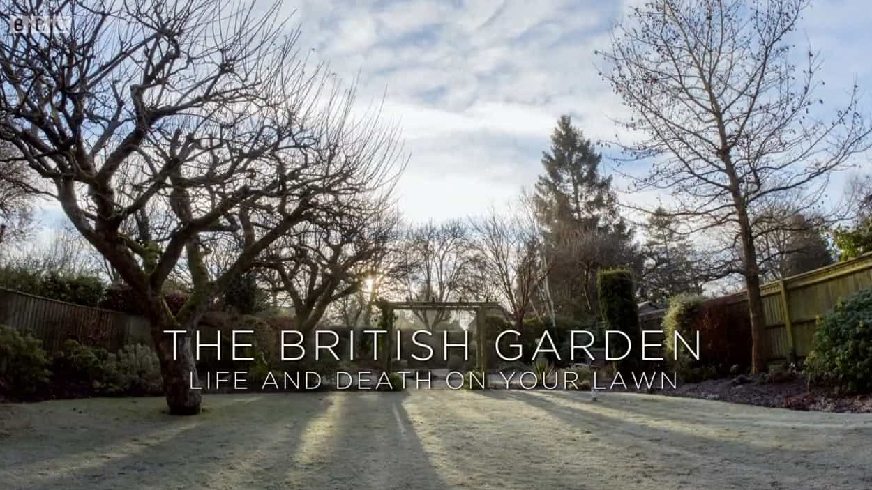 BBC纪录片《英国花园：草坪上的生物 The British Garden Life and Death on Your Lawn 2017》全1集 英语英字 720P高清网盘下载 