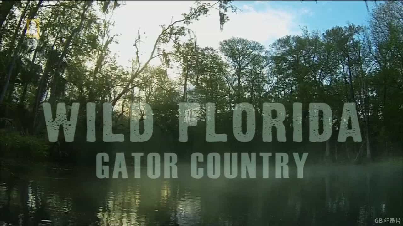 国家地理《野性佛罗里达 Wild Flordia》全2集 英语中字 720P高清网盘下载 