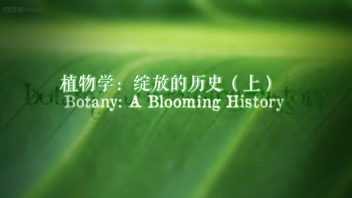 BBC纪录片《植物学:绽放的历史 Botany-A Blooming History》全3集 英语中英双字 720P高清网盘下载