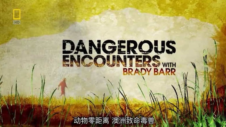 国家地理《动物零距离系列 Dangerous Encounters》全4集 英语中字 720p高清网盘下载