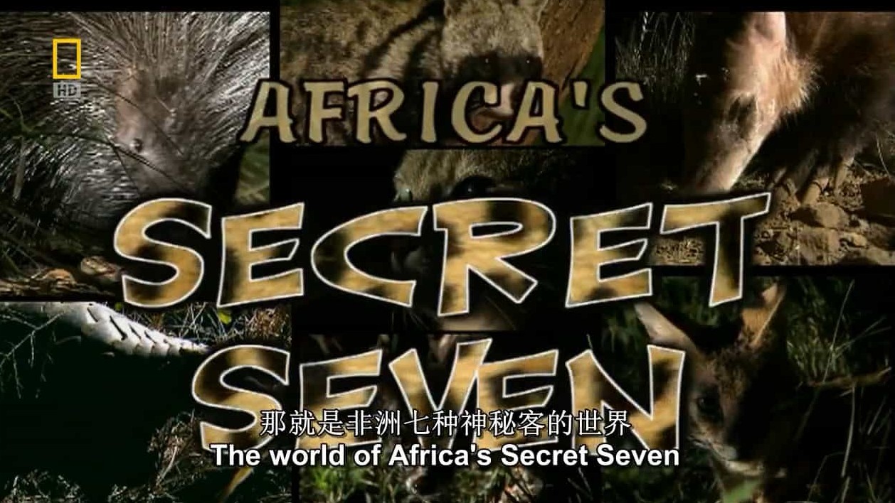 国家地理《非洲七霸/非洲七神兽/非洲七种神秘客/非洲动物的秘密生活 Africas Secret Seven 2009》全1集 英语中字 720p高清网盘下载 
