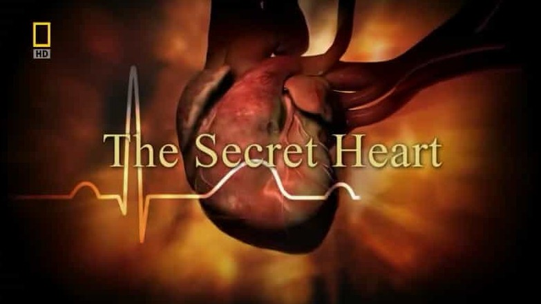 国家地理《详解心脏和心脏病The Secret Heart》全3集 英语中字 720P高清网盘下载 