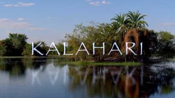 国家地理《荒漠长河/洪水泛滥的沙漠 Wild Kalahari The Flooded Desert 2009》全1集 英语无字 720p高清网盘下载 
