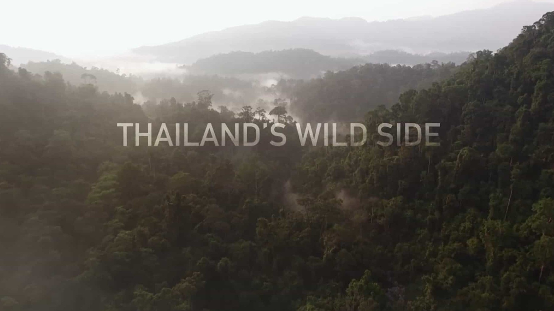 国家地理《野性泰国 Wild Thailand》全2集 英语中字 1080P高清网盘下载