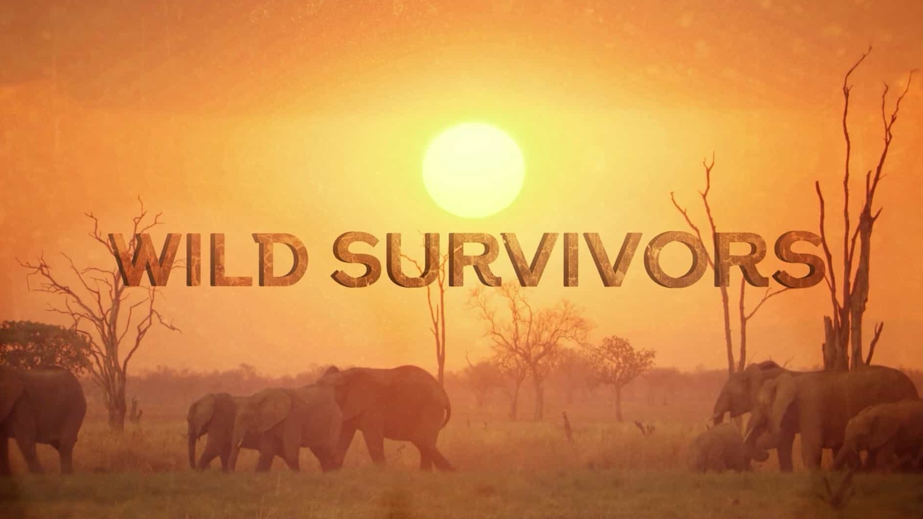 加拿大纪录片《荒野幸存者 Wild Survivors》第1季全3集 英语中英双字 1080P高清网盘下载