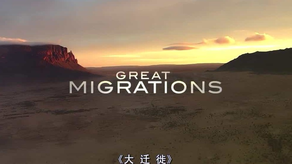 国家地理《大迁徙/生灵的远征 Great Migrations 2010》全6集 英语中字 1080P高清网盘下载