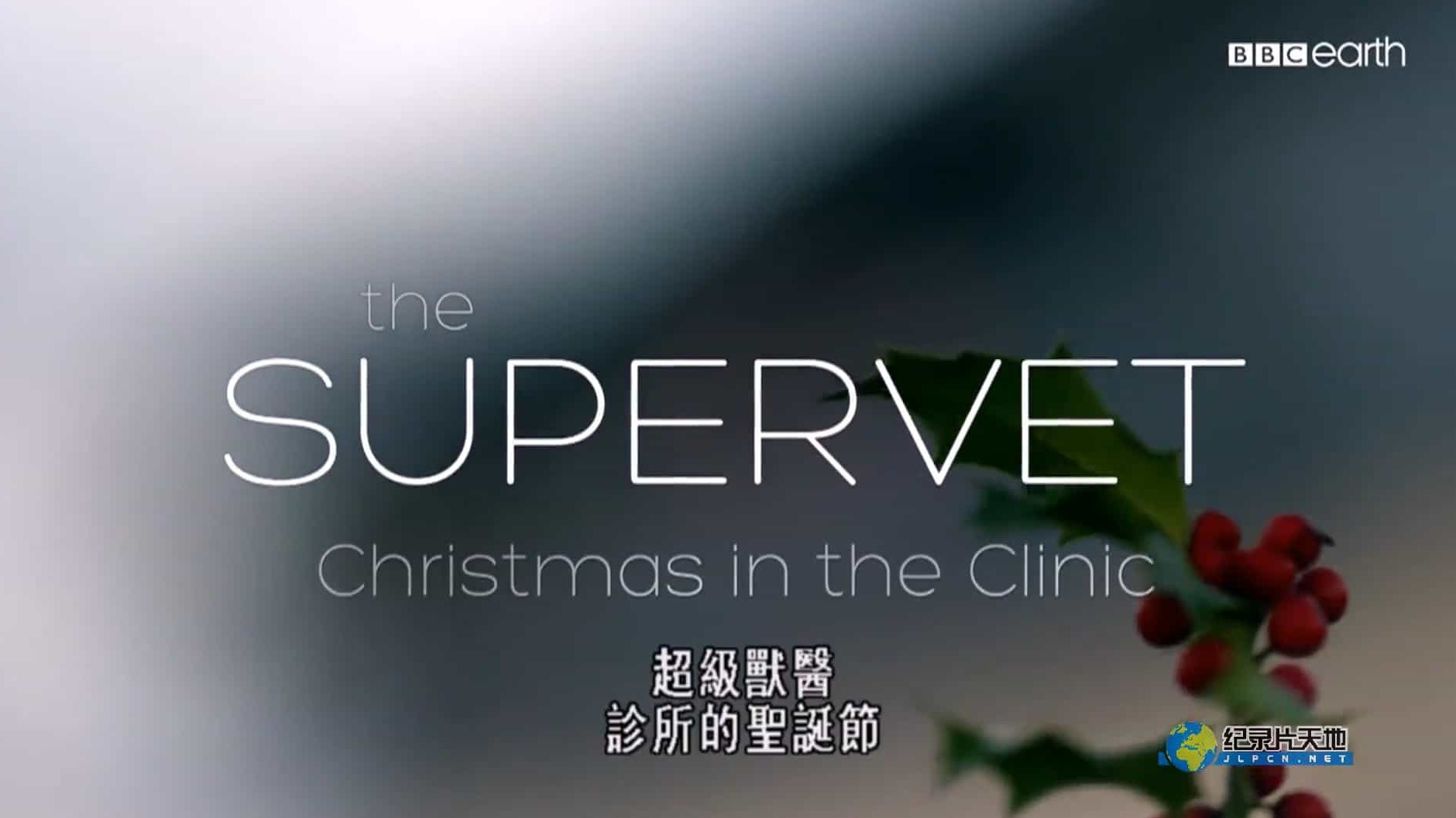 BBC纪录片《超级兽医 The Supervet》 第1季全3集 英语中字 1080P高清网盘下载 