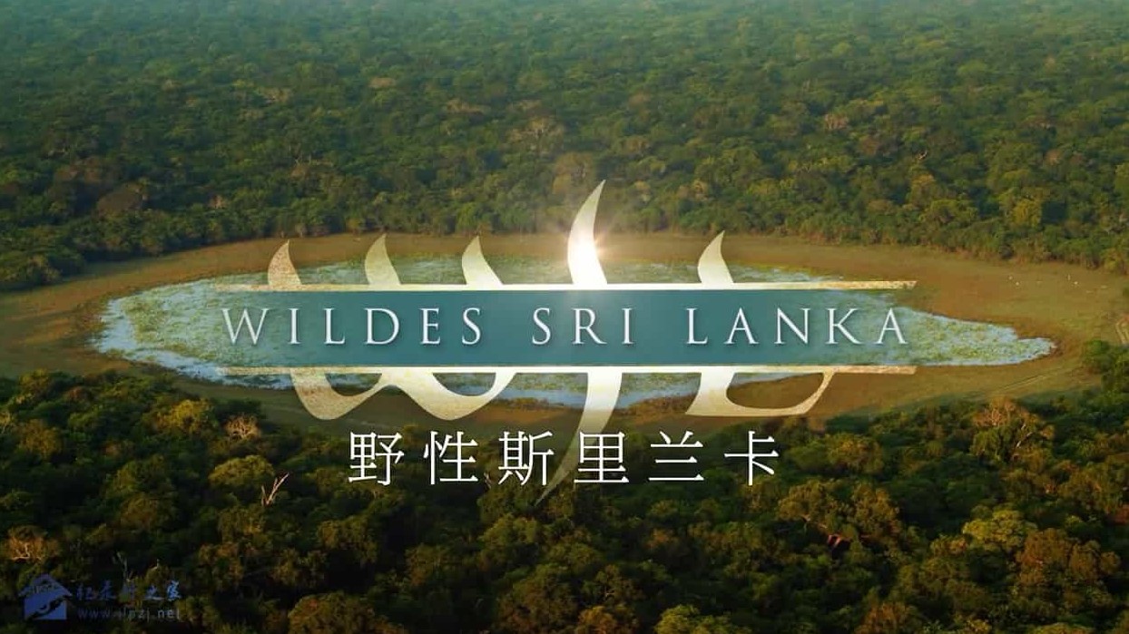 国家地理频道《野性斯里兰卡 Wild Sri Lanka》全3集 英语中字 720P高清网盘下载
