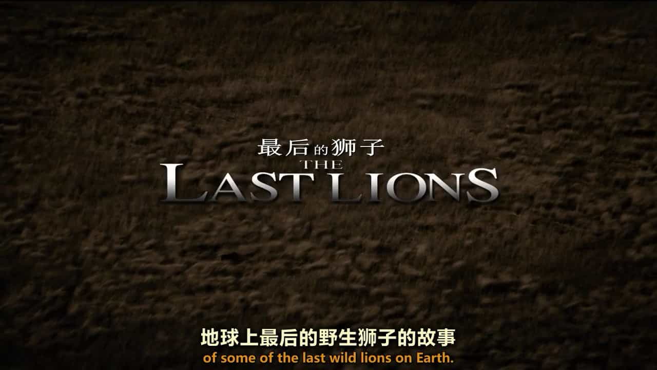 国家地理 《最后的狮子 The Last Lions》全1集 英语中字 720P高清网盘下载 