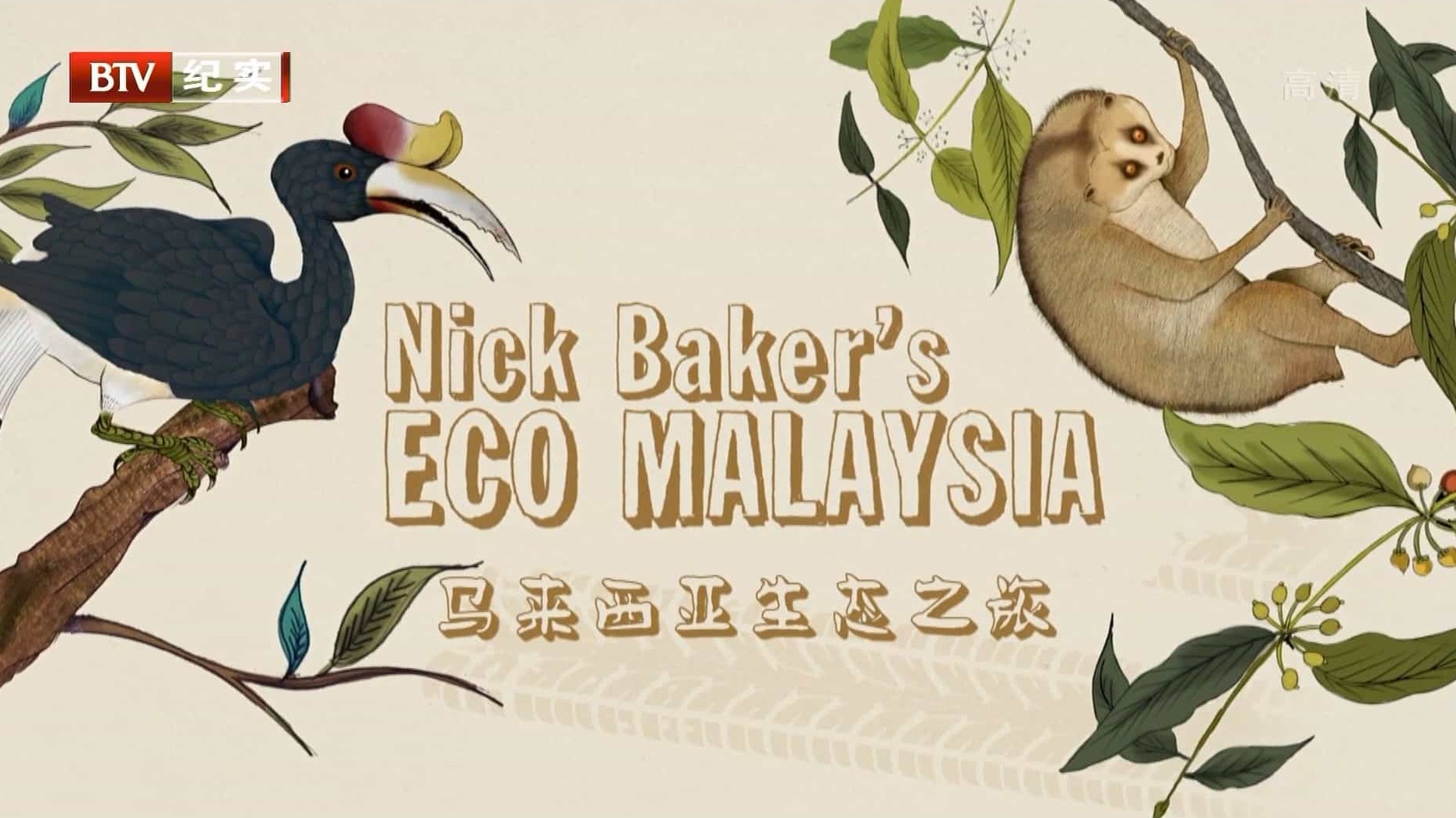 国家地理《尼克·贝克 马来西亚生态之旅 Nick Baker