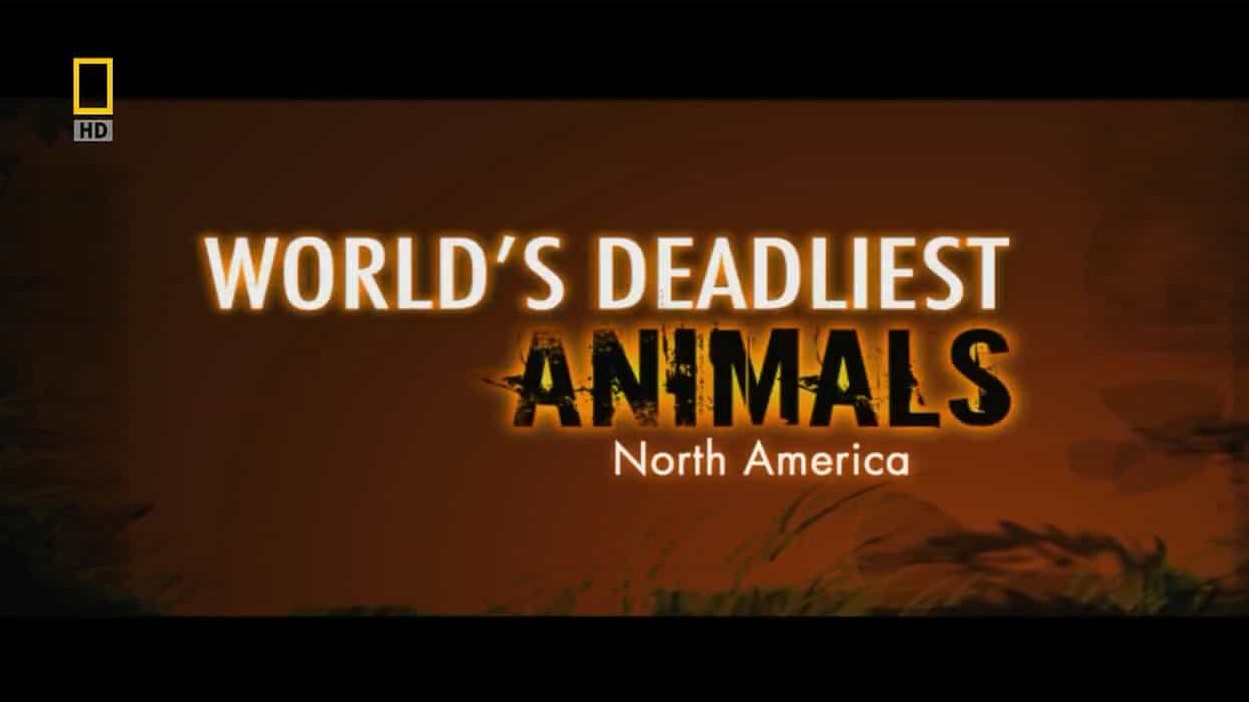 国家地理《世界致命动物全系列 Worlds Deadliest Animals》全8集 英语中字 720P高清网盘下载 