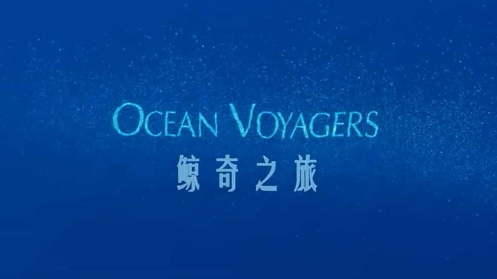 国家地理《动物星球系列：鲸奇之旅 Ocean Voyagers 2007》全1集 英语中字 720P高清网盘下载