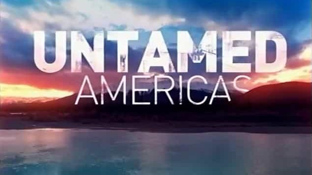 国家地理《野性美洲 Untamed Americas》全4集 英语中字 720p高清网盘下载