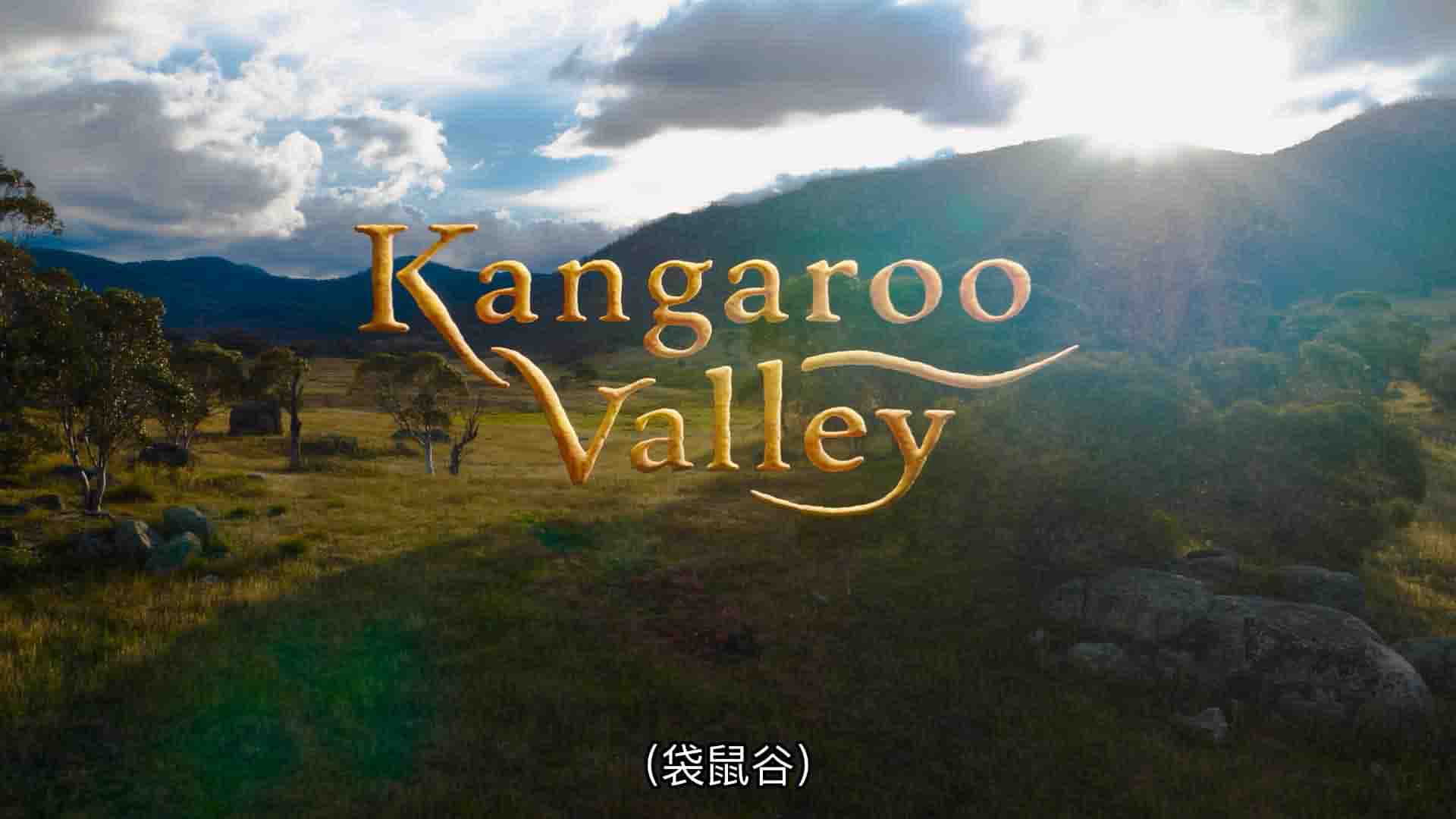 Netflix纪录片《袋鼠谷 Kangaroo Valley 2022》全1集 英语中字 1080P高清网盘下载