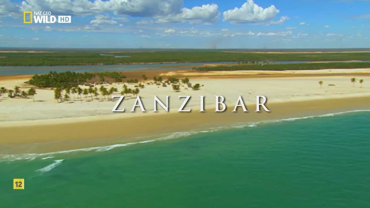 国家地理《狂野岛屿—桑给巴尔岛 Zanzibar Island 2012》全1集 英语无字 720P高清网盘下载