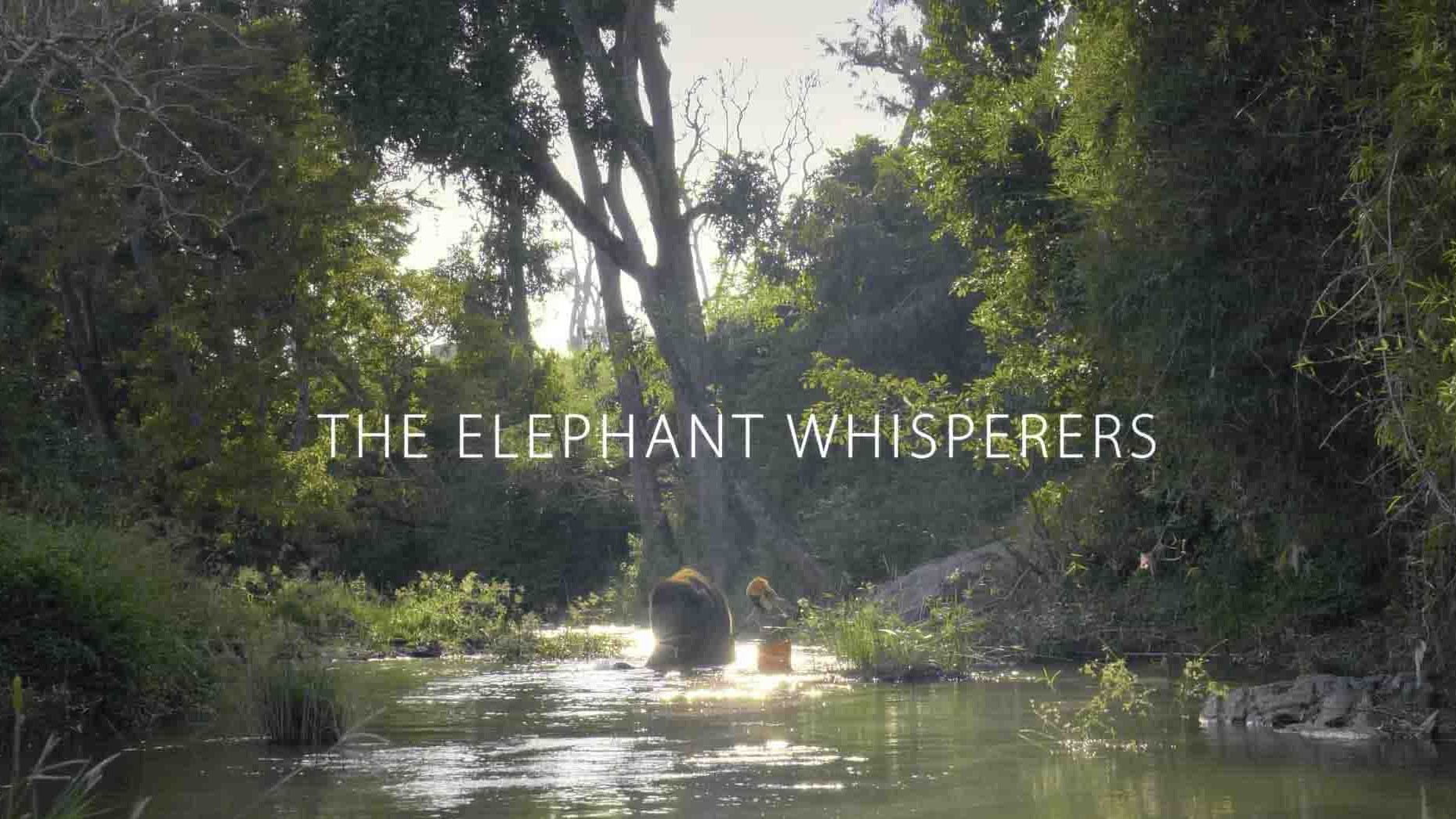 Netflix纪录片《‎小象守护者/象语者 The Elephant Whisperer 2022》全1集 泰语中字 1080P高清网盘下载 