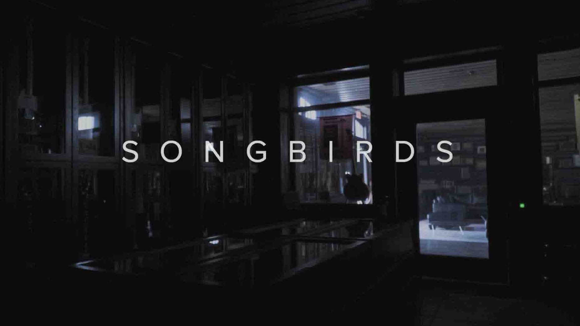 美国纪录片《鸣禽 Songbirds 2022》全1集 英语中英双字 1080P高清网盘下载